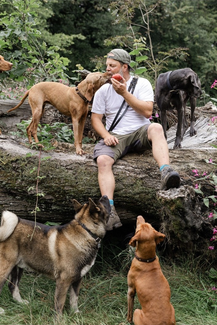 Björn sitzt mit mehreren Hunden auf einem Baumstamm